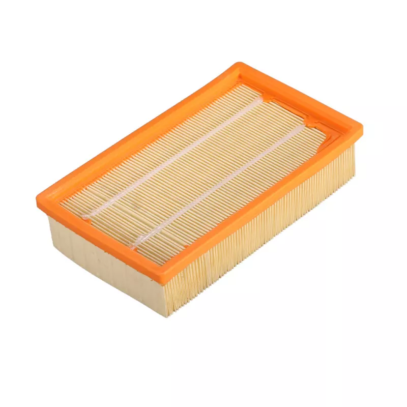 Filtre Pour Aspirateur Kärcher MV4, MV5, MV6, WD4, WD5, WD6 - Remplace 2.863-005.0