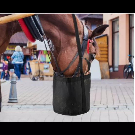 2 Stück Futterbeutel Für Pferde – Aus Nylon Mit Netz, Wasserdichter Boden, Verstellbares Gummiband