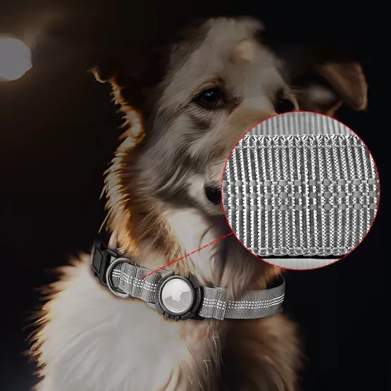 hundefutter aus dem khlschrank Schonkost | Insekten Hundefutter fr sensible Hunde | Nassfutter