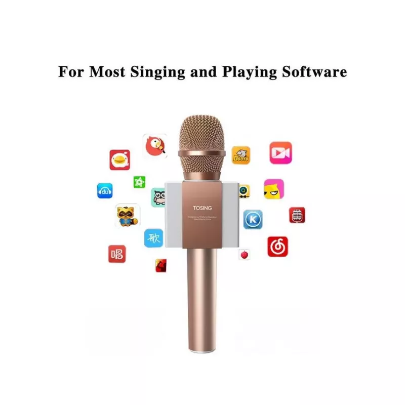 KaraokeMikrofon med Bluetooth Lautsprecher 5W Roségold