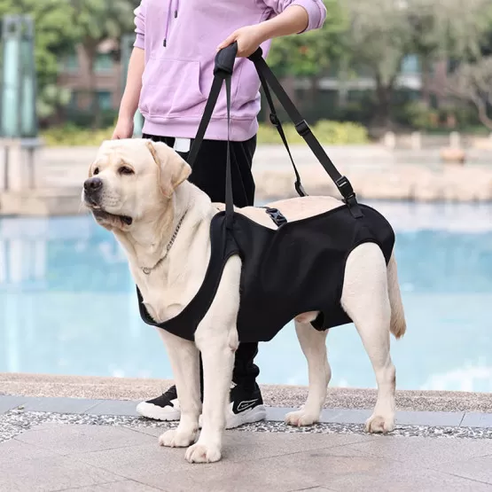 Hunde-Stützgeschirr Für Alte Oder Verletzte Hunde – Hilft Beim Laufen, Treppensteigen, Reha – Vorder- Oder Hinterbein