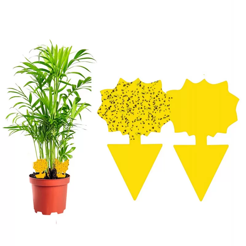INF 60er-Pack Fliegenfnger / Fliegenfalle / Falle fr klebrige Insekten