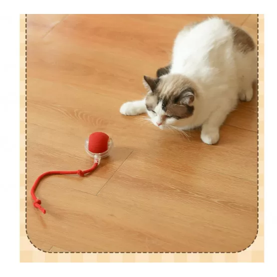 INF Interaktives elektrisches Katzenspielzeug - Intelligenter
