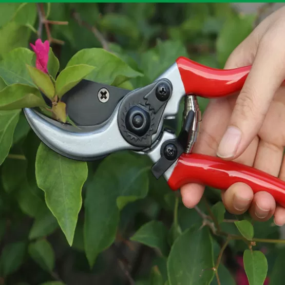 INF SK5 Kohlenstoffstahl-Astschere - Professionelle Gartenschere für Obstbäume, 20cm, Rot