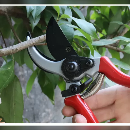 INF SK5 Kohlenstoffstahl-Astschere - Professionelle Gartenschere für Obstbäume, 20cm, Rot