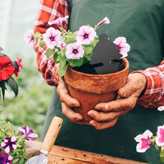 INF 30er Set Garten-Klebefallen — PP-Platten mit doppelseitiger gelber Klebeoberfläche für Gewächshaus- und