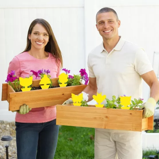 INF Garten Klebe-Fallenplatten Set - 60 doppelseitige gelbe Klebefallen für Fliegen, PP-Klebeplatte mit Kleber und Trennpapier